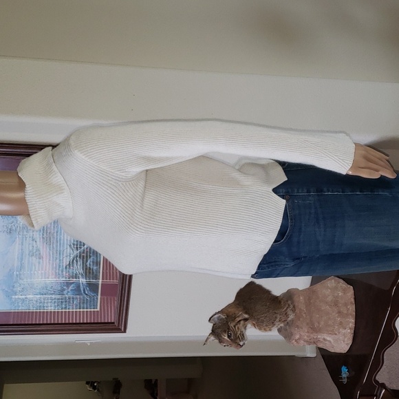 Madewell s ribbed off white turtleneck Merino wool viscose nylon alpaca - Picture 2 of 8